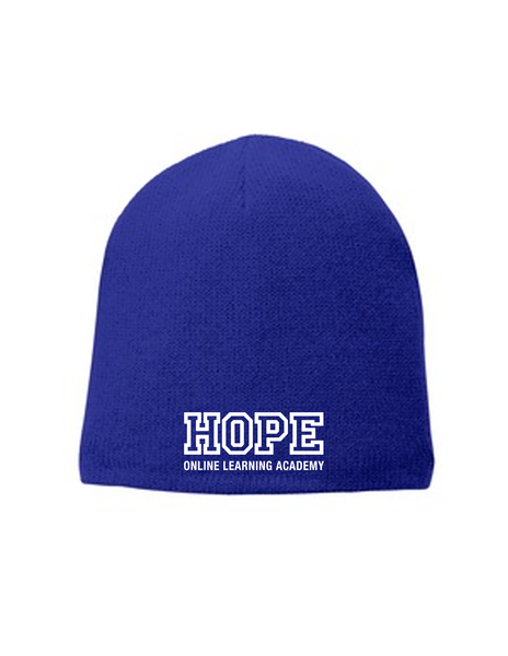 HLA Beanie